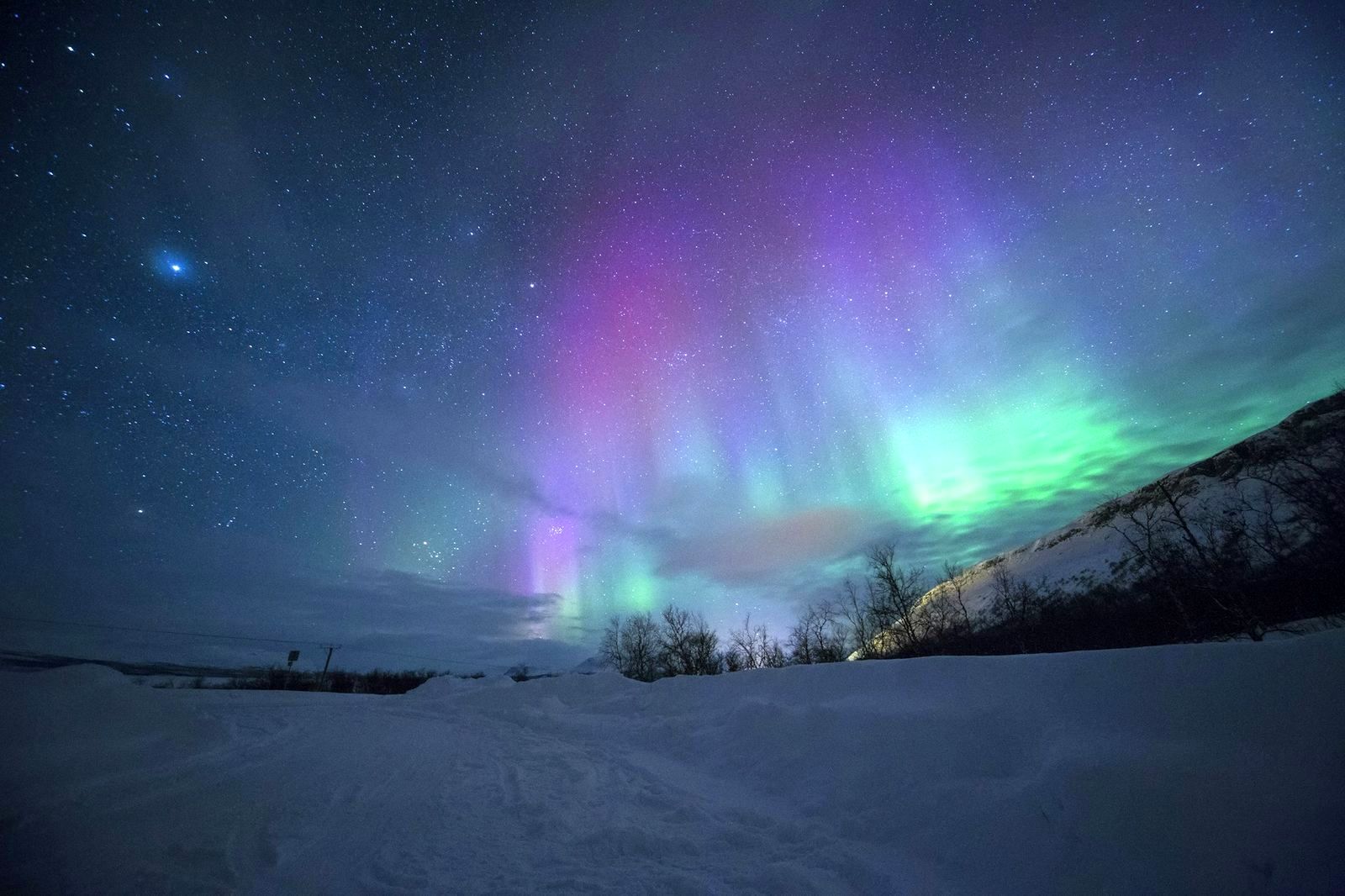 Aurora Boreal