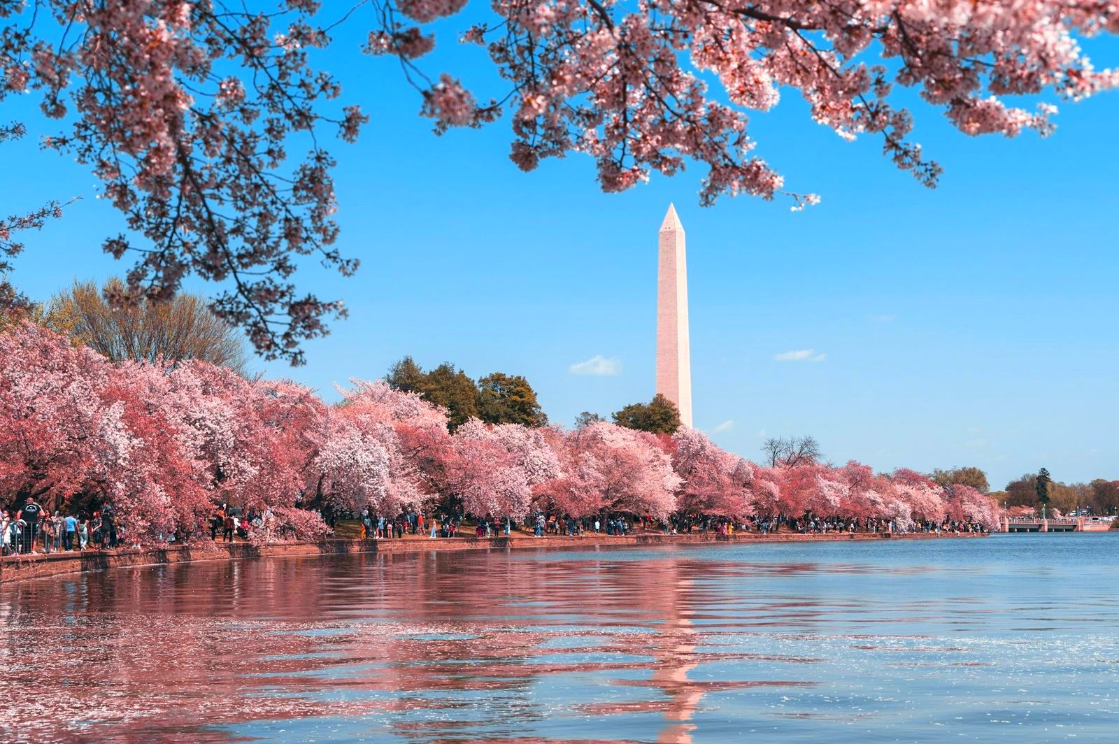 Washington y Amish
